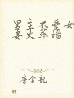 男主不爱女主追妻火葬场