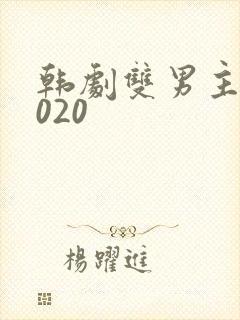 韩剧双男主剧2020