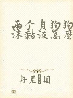 两个月狗狗吐白沫黏液怎么办