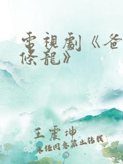 电视剧《爸爸是条龙》