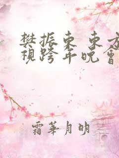樊振东 东方卫视跨年晚会