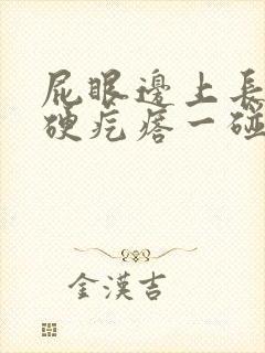 屁眼边上长了个硬疙瘩一碰会疼
