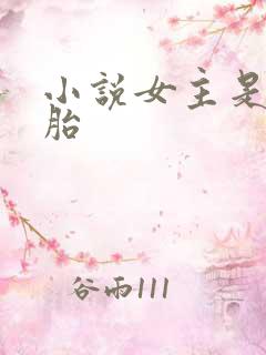 小说女主是双胞胎