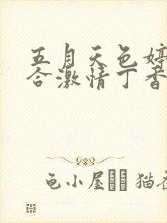 五月天色婷婷综合激情丁香亚洲