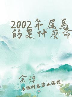 2002年属马的是什么命五行属什么