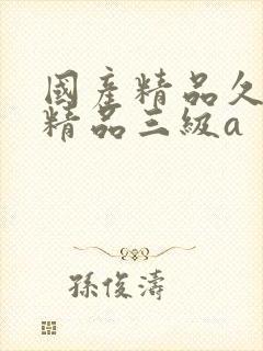 国产精品久久久精品三级a 国产精品久久久精品三级a