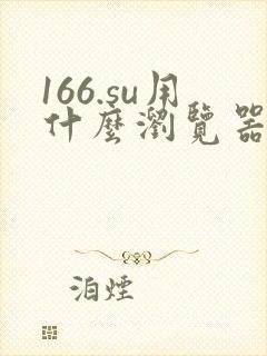 166.su用什么浏览器打开