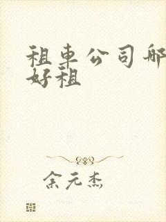 租车公司哪些车好租