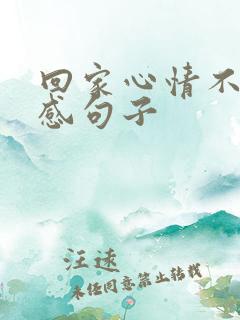 回家心情不好伤感句子