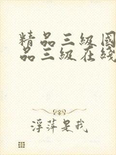 精品三级国产精品三级在线播放