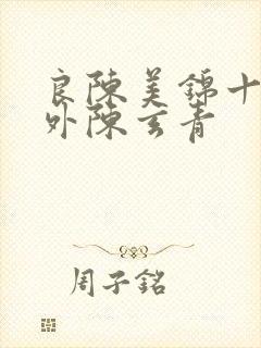 良陈美锦十个番外陈玄青