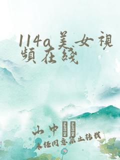 114a美女视频在线