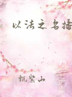 以法之名播出