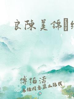 良陈美锦·终章