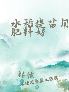水稻提苗用什么肥料好