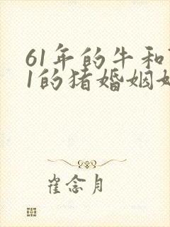 61年的牛和71的猪婚姻好不好