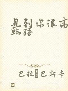 见到你很高兴的韩语