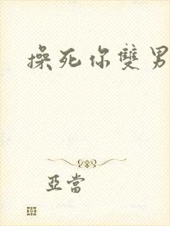 操死你双男主