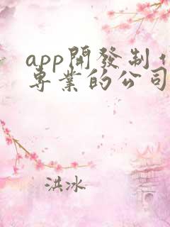 app开发制作专业的公司