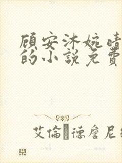 顾安沐婉晴主角的小说免费阅读
