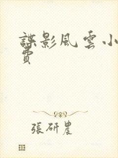 谍影风云小说免费