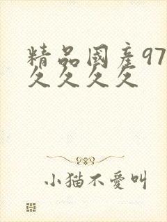 精品国产97久久久久久