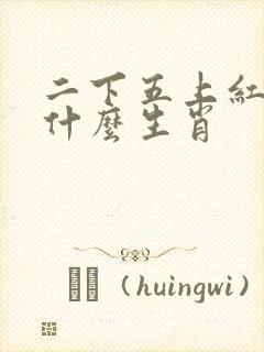 二下五上红波旺什么生肖