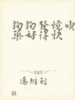 狗狗发烧吃什么药好得快