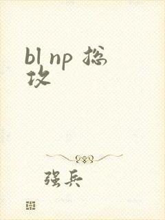 bl np 总攻