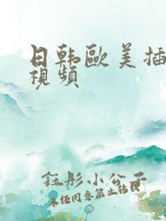 日韩欧美插美女视频