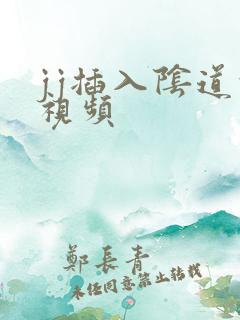 jj插入阴道的视频