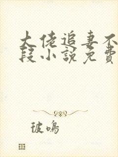 大佬追妻不择手段小说免费阅读完本