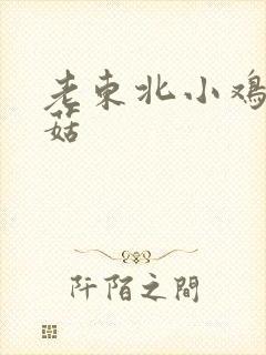 老东北小鸡炖蘑菇