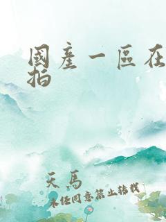 国产一区在线偷拍