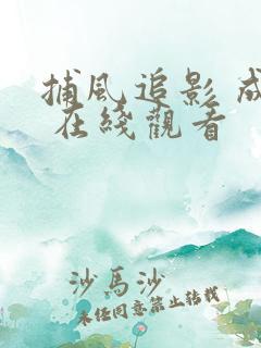 捕风追影 成龙 在线观看