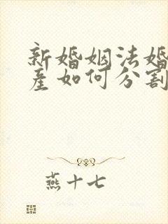 新婚姻法婚前财产如何分割