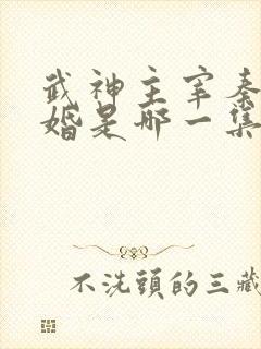 武神主宰秦尘抢婚是哪一集