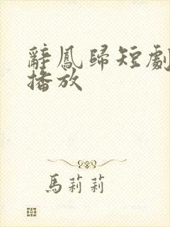 辞凤归短剧免费播放