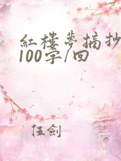 红楼梦摘抄原著100字/回