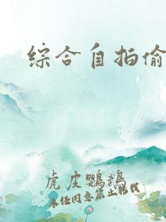 综合自拍偷拍网
