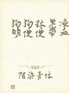狗狗拉果冻状透明便便带血