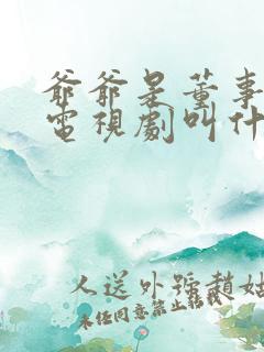 爷爷是董事长的电视剧叫什么