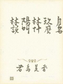 林阳林玖月的小说叫什么名字