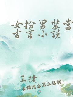 女扮男装当官的古言小说