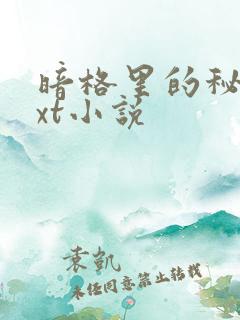 暗格里的秘密txt小说