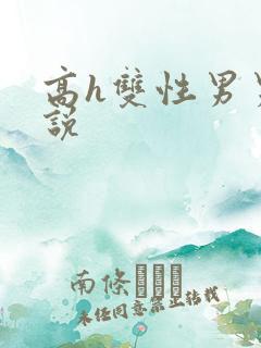 高h双性男男小说