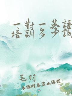 一对一英语口语培训多少钱