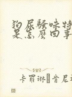 狗尿骚味特别大是怎么回事