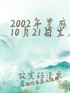 2002年农历10月21日生辰八字