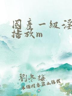 国产一级淫免费播放m